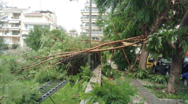 Πάτρα: Μίνι ανεμοστρόβιλος τα «σήκωσε» όλα – «Πέταξαν» κεραμίδια, λαμαρίνες, ομπρέλες – Πολλές ζημιές και πτώσεις δέντρων