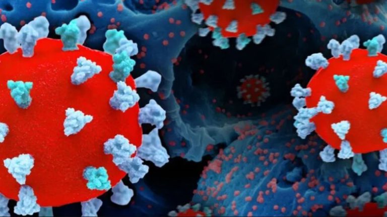 COVID-19: H παραλλαγή “τζίτζικας” εξαπλώνεται – Boηθάει το εμβόλιο; COVID-19: H παραλλαγή “τζίτζικας” εξαπλώνεται – Boηθάει το εμβόλιο;