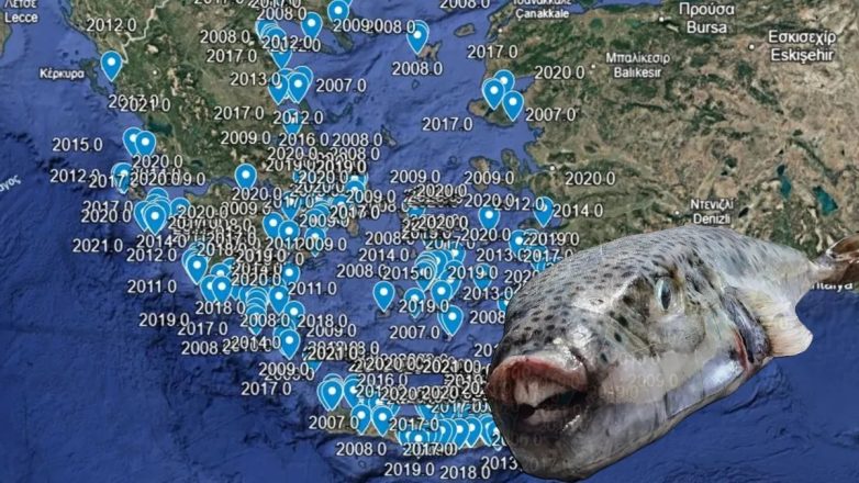 Ο χάρτης που καταγράφει τις εμφανίσεις λαγοκέφαλου στην Ελλάδα